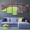5 piece split canvas art FC Barcelona football field decor picture-1211 (1)