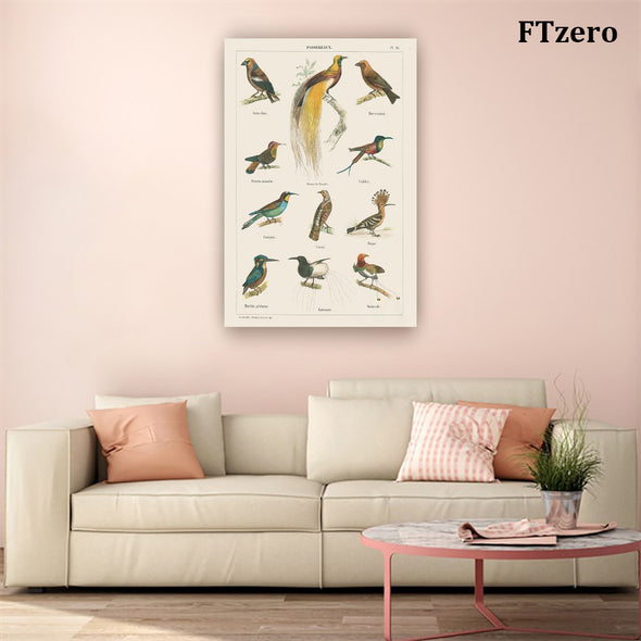 FTzero Vintage Bird Chart print Framed Art